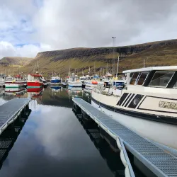 Boat Tours from Leirvik - Leirvik