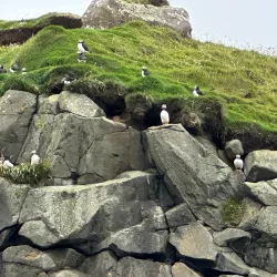 Boat Tours from Leirvik - Leirvik