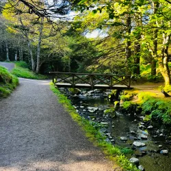 Viðarlundin Park - Leirvik
