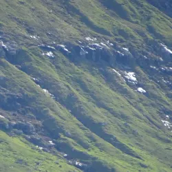 Fjord Views and Coastal Walks - Oyrarbakki