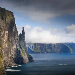 Coastal Birdwatching Spots - Saltangara