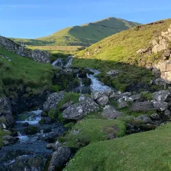 Coastal Birdwatching Spots - Saltangara