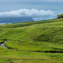 Coastal Birdwatching Spots - Saltangara