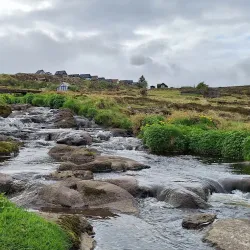 Bird Watching Spots - Strendur