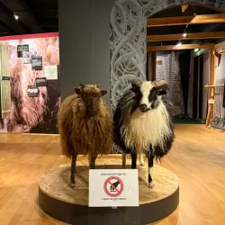 Faroese Cultural Museum (Kringvarp Føroya) - Strendur