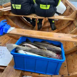 Fishing and Boat Tours - Strendur