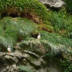 Gjógv Village - Strendur