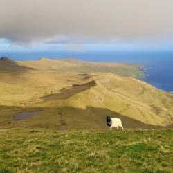 Beinisvørð Cliffs - Sumba