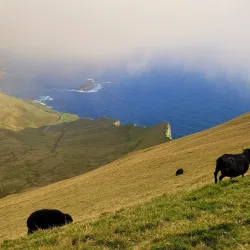 Beinisvørð Cliffs - Sumba