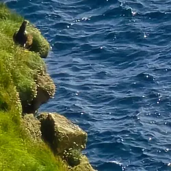 Birdwatching Spots - Sumba