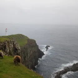 Birdwatching Spots - Sumba