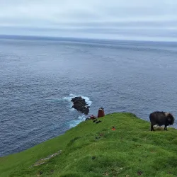 Birdwatching Spots - Sumba