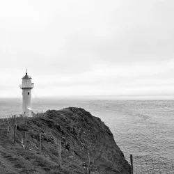 Birdwatching Spots - Sumba