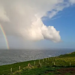 Birdwatching Spots - Sumba