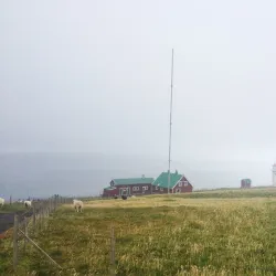 Birdwatching Spots - Sumba