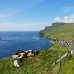 Sumba Harbor - Sumba