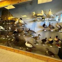 Sumba Museum - Sumba