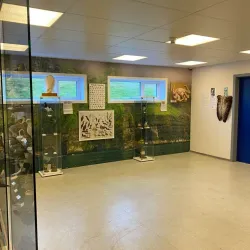 Sumba Museum - Sumba