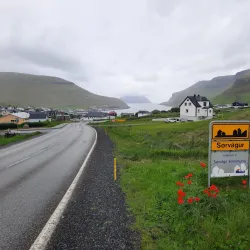 Traditional Faroese Festivals - Sumba