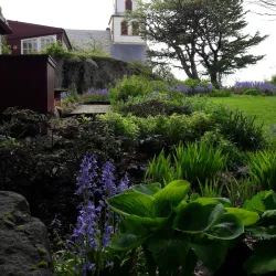 Harbor Area - Torshavn