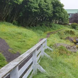 Harbor Area - Torshavn
