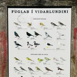 Viðarlundin Park - Torshavn