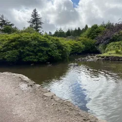 Viðarlundin Park - Torshavn