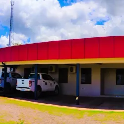 Sugar Cane Fields - Ba