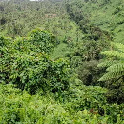 Bouma National Heritage Park - Fiji