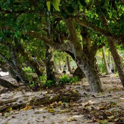 Bouma National Heritage Park - Fiji