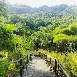 Garden of the Sleeping Giant - Fiji