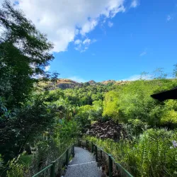 Garden of the Sleeping Giant - Fiji