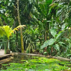 Garden of the Sleeping Giant - Fiji