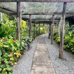 Garden of the Sleeping Giant - Fiji