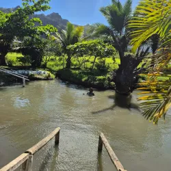 Sabeto Hot Springs and Mud Pool - Fiji