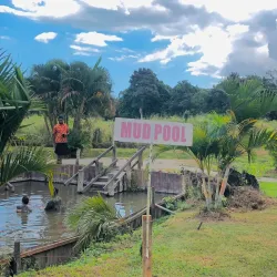 Sabeto Hot Springs and Mud Pool - Fiji