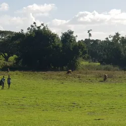 Labasa Golf Club - Labasa