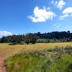 Labasa Golf Club - Labasa