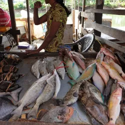 Labasa Market - Labasa