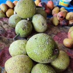 Labasa Market - Labasa