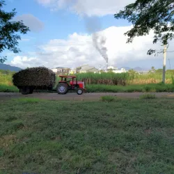 Labasa Sugar Mill - Labasa