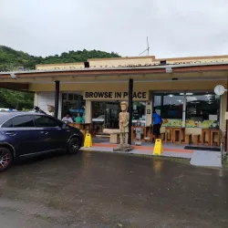 Local Art and Craft Shops - Labasa