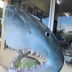 Local Art and Craft Shops - Labasa