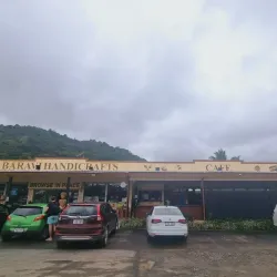 Local Art and Craft Shops - Labasa