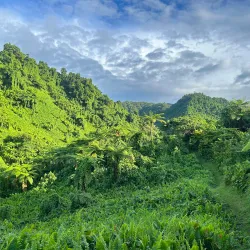 Vanua Levu Coastal Walks - Labasa