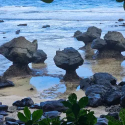 Vanua Levu Coastal Walks - Labasa