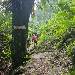 Vanua Levu Coastal Walks - Labasa