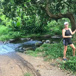 Waitavala Waterfall - Labasa