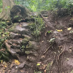 Waitavala Waterfall - Labasa