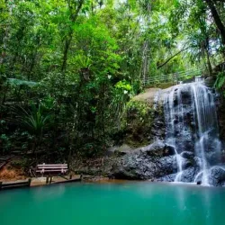 Colo-i-Suva Forest Park - Lami